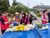 宜秀區白澤湖鄉：移風易俗新舉措，文明祭掃過清明