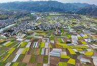 打造大黃山“超級IP”  安徽四市打算這么干