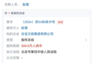 趙薇名下股權(quán)再遭凍結(jié)！涉及金額500萬元