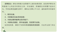 猴子闖入海南萬寧民宅傷人，多人受傷