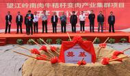未來10年，望江將實現(xiàn)所有行政村（社區(qū)）肉牛產(chǎn)業(yè)全覆蓋