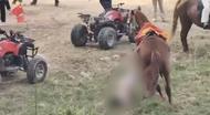 河南滎陽8歲男童騎馬時被拖行，家屬：孩子去世了，警方和當地政府已介入