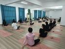 凤二小教育集团：“瑜”悦身心 “伽”倍美丽  