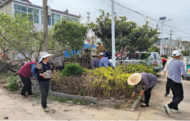 小溪鎮藕塘村：整治破損五小園，提高村民生活質量