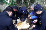 男子偷333萬黃金用襪子包裹埋地下，這起“黃金奇案”告破了！