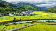 池州最美農(nóng)村路：連接“詩與遠(yuǎn)方”
