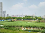 安慶58處閑置地塊整治行動開始