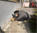 雪華鄉（宏業村街道）第三社區：愛國衛生我先行 社區環境換新顏