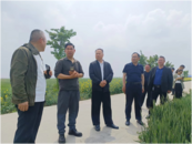 濉溪縣政協到百善鎮開展文物保護利用專題視察活動