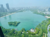 合肥天鹅湖水体发绿疑似出现蓝藻？专家：并非蓝藻，水清和水深使水体深绿