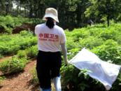 春日出行防蜱蟲 疾控機構提示這樣做