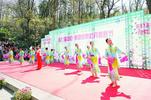 “牡丹仙子”露芳容 巢湖银屏牡丹观赏节开幕