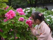 4月19日21時59分谷雨：品春茶、吃香椿、賞牡丹