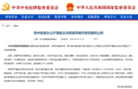 中纪委官网通报，陈丽萍被立案调查！