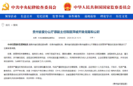 中纪委官网通报，陈丽萍被立案调查！