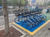 池州加強街頭共享單車管理 讓市民綠色出行更便捷