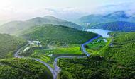 廬江：全域旅游富民路
