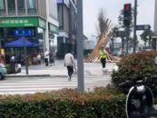 成都街頭一男子持菜刀追趕交警，派出所回應