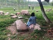合肥市民反映兩公園“人多椅少”    管理方回應：已有增設計劃