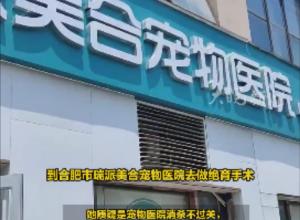 家中多只猫感染猫瘟死亡 市民质疑与宠物医院有关 宠物医院与相关部门回应