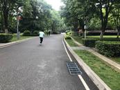 江红波：抬头看见你