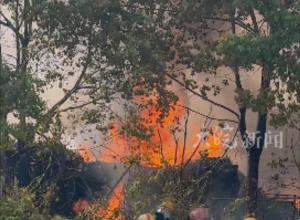 合肥一废品站失火 所幸无人员伤亡