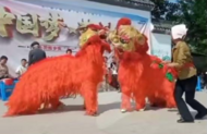 臨北回族鄉官塘鋪村：弘揚傳統文化 傳播臨北獅子舞