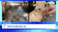 江苏沛县通报：停业整顿、立案调查！