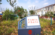 河溜鎮：基層治理“活力素” 鄉村振興“加速度”