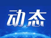 这国总统竞选活动发生建筑物倒塌 已致4人死亡