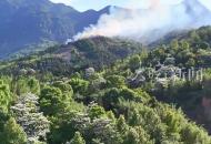溫州一地突發山火 鎮政府：近百人正在全力滅火