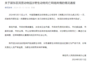 阜陽發布情況通報