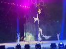 厦门一马戏城表演中演员坠亡，当地文旅局回应