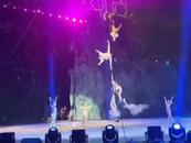 厦门一马戏城表演中演员坠亡，当地文旅局回应