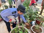安慶市大觀區檢察院：禁種鏟毒齊發力 綠色無毒護平安