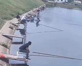 連云港一男子釣魚被20斤大魚拽入湖中，釣魚場：人和魚都上岸了