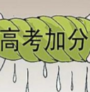 有調整！河南取消高考少數民族加分項目