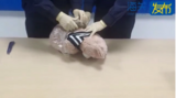 熊肚藏毒！海关开箱查验 气味浓烈刺鼻