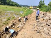 懷寧縣江鎮鎮：道路護坡修復 保障群眾出行