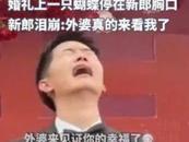 蝴蝶停在新郎胸口那一刻心震了！當事人：外婆的祝福穿越時空