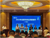 合肥市楼宇经济协会成立，“亿元楼宇”已达16个