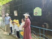 蚌埠一幼兒園買只萌寵“小香豬”  四年后長到300多斤