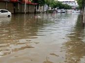 香港、澳門分別發出暴雨紅黑警告，下午停課