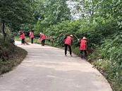 六安市孫崗鎮：人居環境整治助力鄉村“亮新顏”
