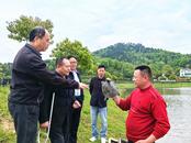 項(xiàng)多伍：“鱉”出新裁成就鄉(xiāng)村特色產(chǎn)業(yè)