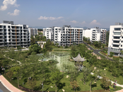 首付、利率下調(diào)！北京發(fā)布購房新政