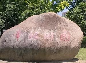 合肥一公园旁大树倒下 砸中厕所墙顶 居民担心安全隐患