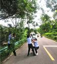 樅陽縣交通運輸綜合行政執法大隊清除安全隱患保障道路暢通