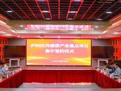 4家传感器企业集中落户合肥庐阳