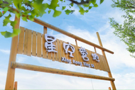 葉集區(qū)三元鎮(zhèn)：農(nóng)創(chuàng)小鎮(zhèn)唱?dú)g歌 夏季“村晚”樂(lè)百姓